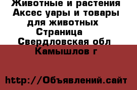 Животные и растения Аксесcуары и товары для животных - Страница 2 . Свердловская обл.,Камышлов г.